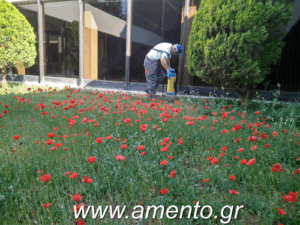 Αμεντο