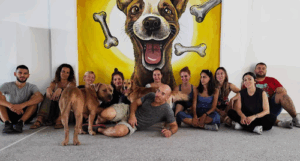 Dogfriendly Academy