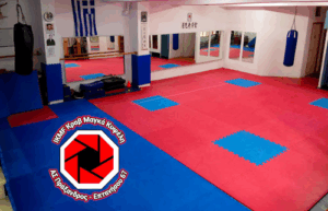 Ikmf Krav Maga Club Κυψέλη 'Πράξανδρος'