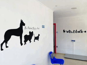 Pawsitive Steps