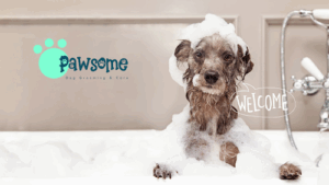 Pawsome Dog Grooming & Daycare