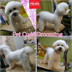 Pet Code