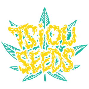 Tsiou Seeds
